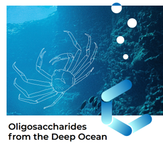 , BioChito®: Natural Marine Oligosaccharides for All-Round Gut Care, chenland, chenland